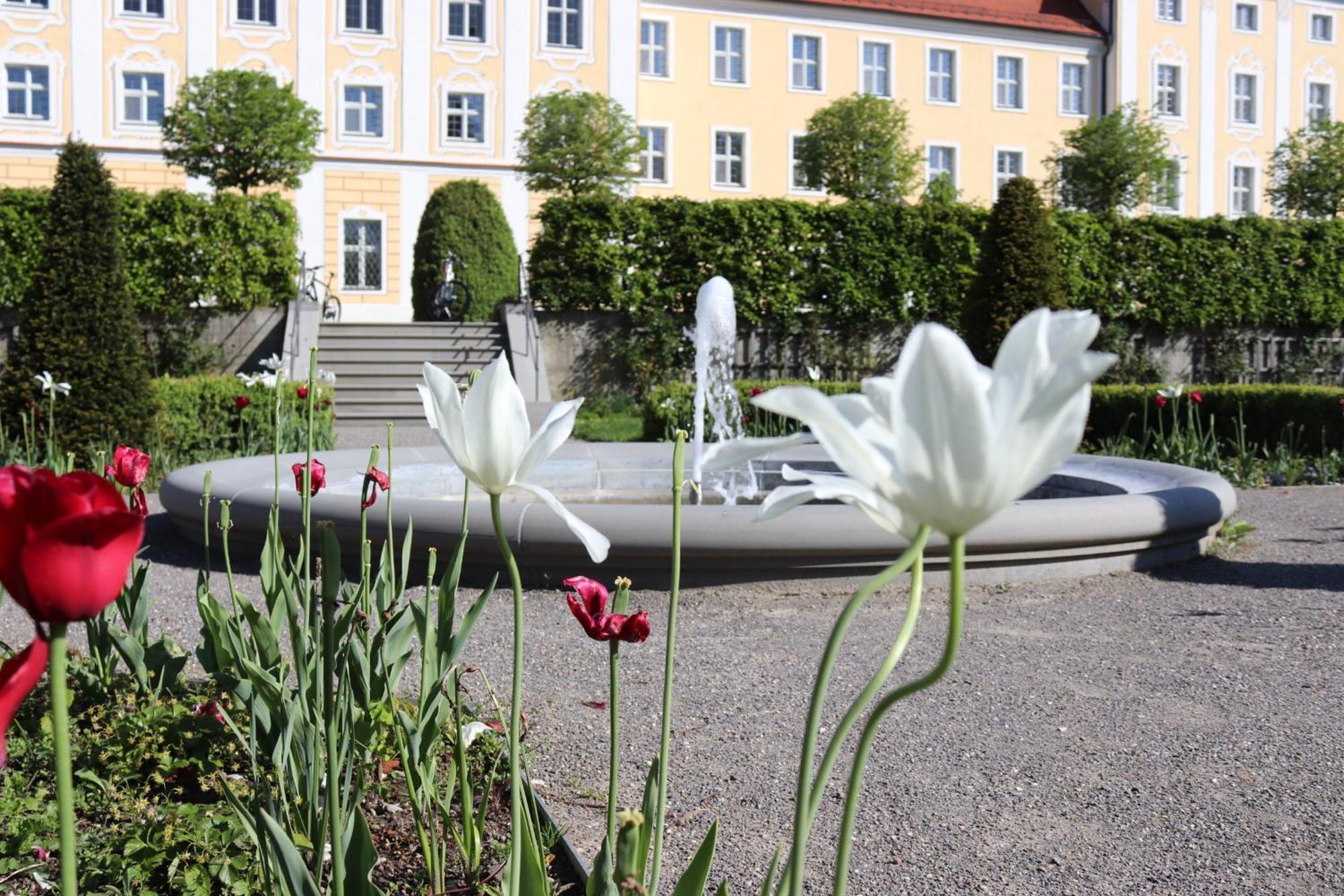 Klostergasthof Roggenburg Exteriör bild