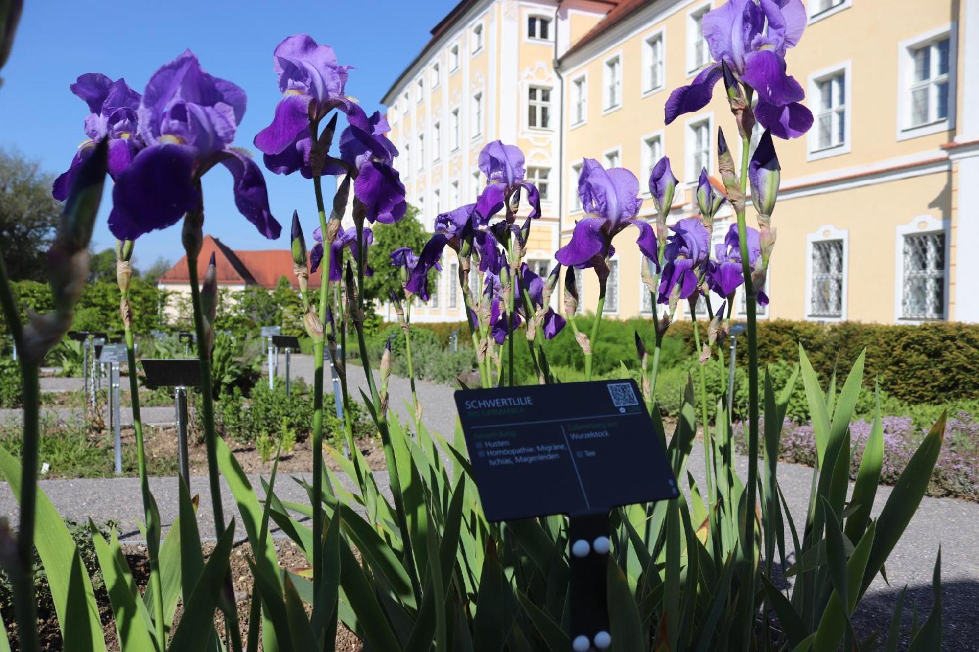 Klostergasthof Roggenburg Exteriör bild