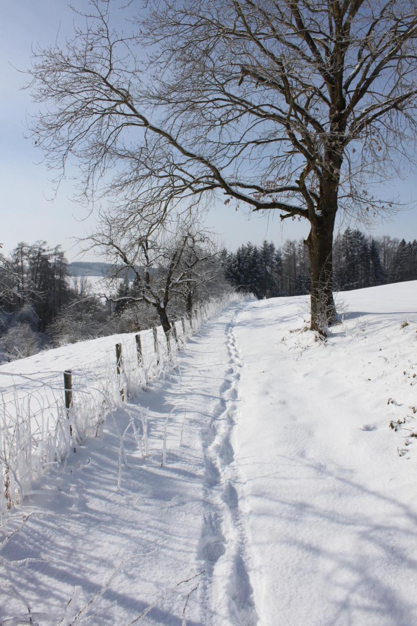 Klostergasthof Roggenburg Exteriör bild